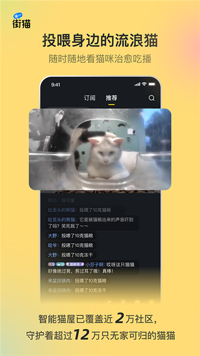 哈啰街猫app